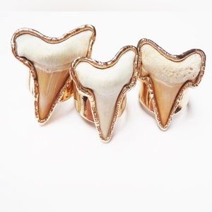 Shark Tooth Ring 14k Gold Plated NWT